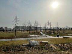 -汉长安城未央宫国家考古遗址公园