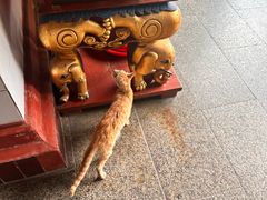 -南华禅寺