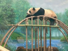 -杭州动物园