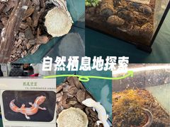 -万达广场(宜兴店)