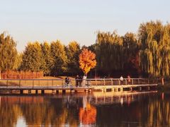 -东北大学(南湖校区)