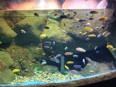 -苏州海洋馆