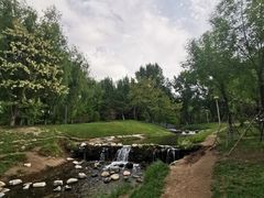 -长白岛森林公园