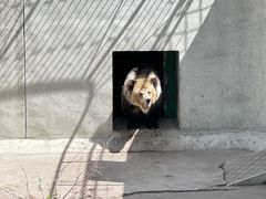 -天津市动物园