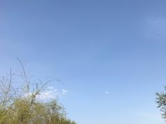 -成吉思汗庙