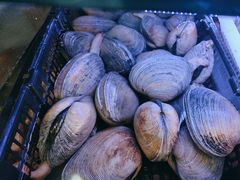 -日照大牌檔•小船海鲜(万平口店)