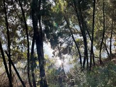 -仙海旅游度假区