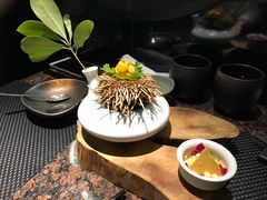 金钻海胆-花隐日式怀石料理(万象城购物中心店)