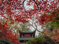 -岳麓山风景名胜区