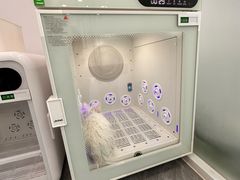 -爱洗澡的猫(望京店)