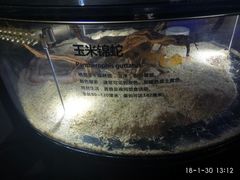 -萌宠奇缘