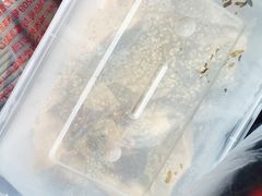 -老王豆皮