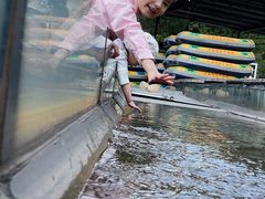 -牛鱼嘴原始生态风景区