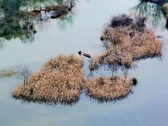 -会仙湿地