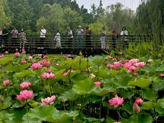 -沐仙湖湿地公园