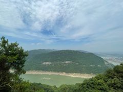 -铁山坪森林公园