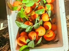 -柏季酒店(广州塔琶洲会展中心店)