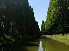 -黄海国家森林公园