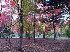 -长春市南湖公园