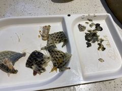 -渔小生蒸汽石锅鱼(印象城店)
