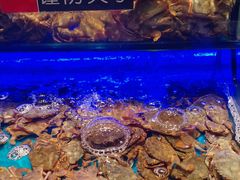 -SEA西雅图海鲜自助餐厅(海乐世界店)