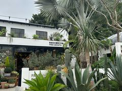 -自由生长植物工作室(深港花卉中心店)
