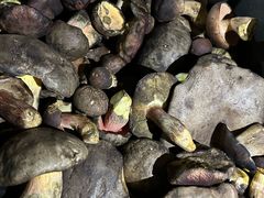 -草墩罗非鱼庄•野生菌•腊排骨(七星街上段店)