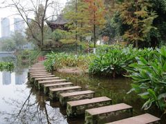 -重庆彩云湖湿地公园