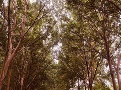 -长春公园(普阳街道)