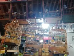 -万商花鸟市场