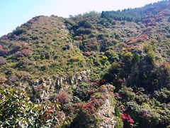 -黄花溪