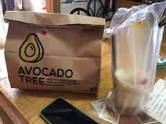 -油梨树AVOCADO TREE(嘉里中心店)