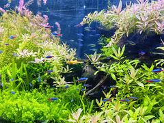 -上海海洋水族馆