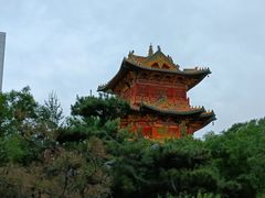 -迎泽公园