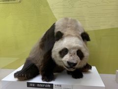 -国家自然博物馆