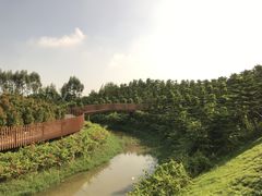 -迪茵湖田家舍生态农场