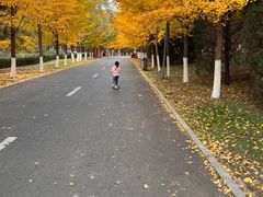 -长白岛森林公园