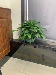 -FRIDAY星期五专业美发沙龙