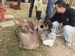 -杭州千岛湖开元度假村