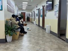 -美联众合动物医院·24h转诊中心