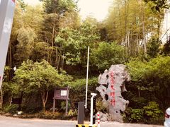 -龙井村