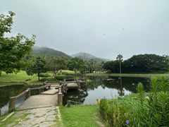 -普陀山风景名胜区-千步大沙