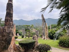 -深圳仙湖植物园