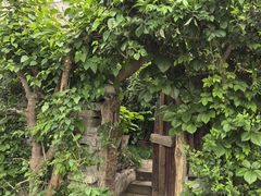-斯多格书乡(北京大学畅春园店)