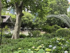 -静安公园(静安寺街道)
