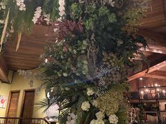 -一棵树·意大利西餐厅One Tree(新城店)