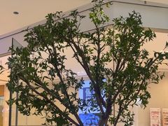 -茶百道(江津吾悦广场店)