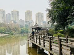 -龙头寺公园