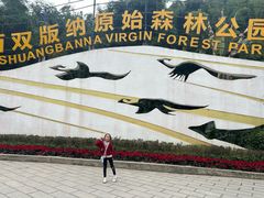 -西双版纳原始森林公园