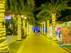 -三亚海昌梦幻海洋不夜城